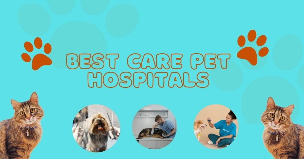 Best Care Pet Hospitals Info in Omaha and Sioux Falls