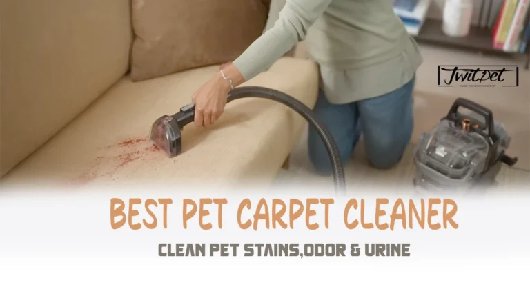 Best Pet Carpet Cleaner