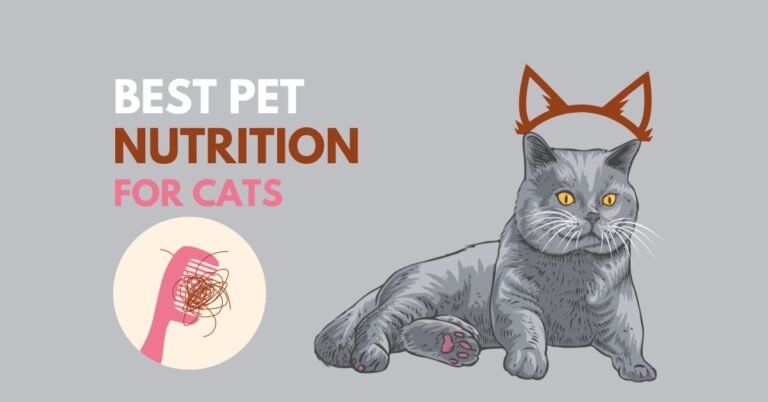 How to Treat Cat Hair Loss at Home