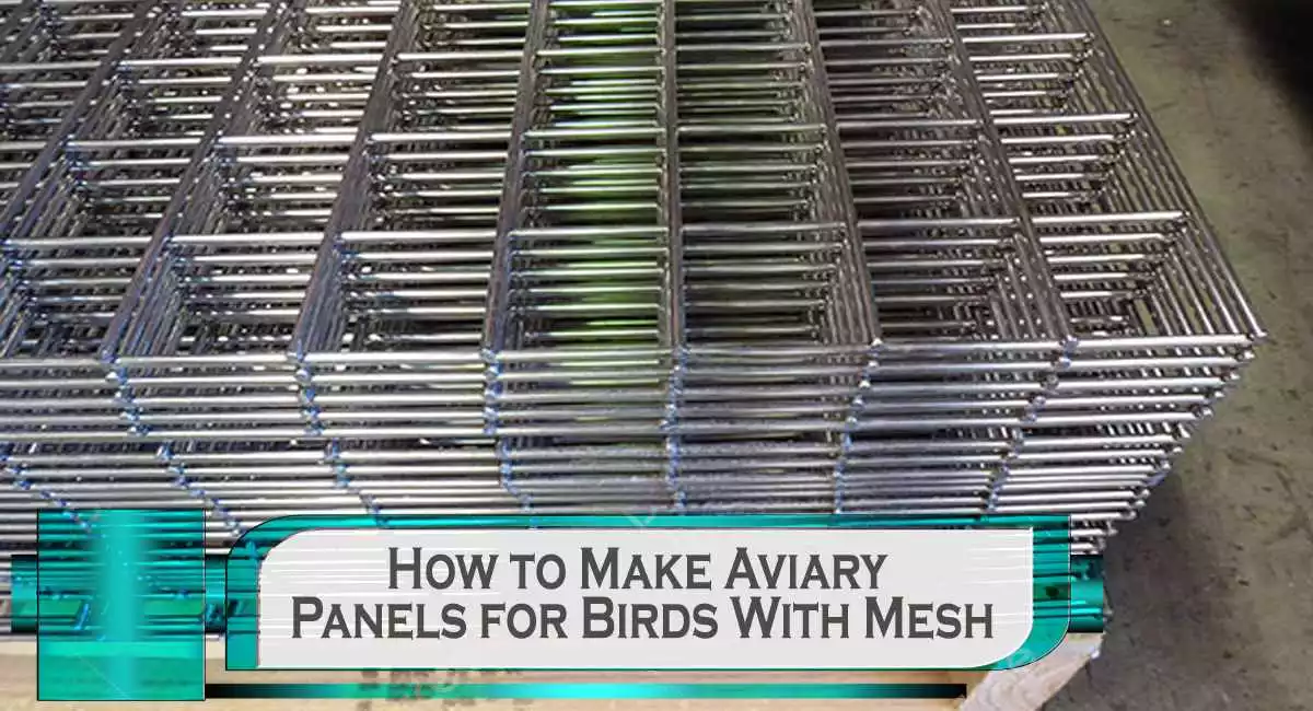 How to Make Aviary Panels for Birds With Mesh