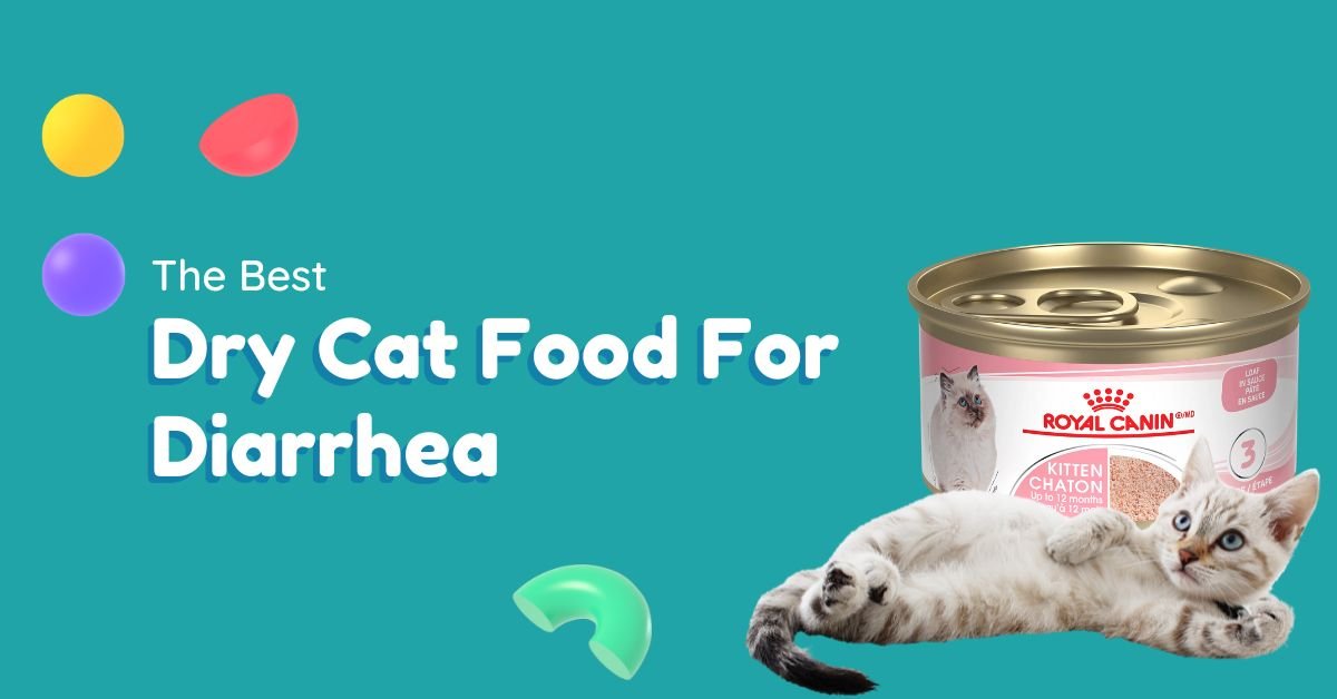 Best Dry Cat Food For Diarrhea Reviews