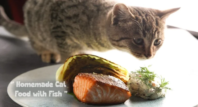 How to Make Homemade Cat Food with Fish