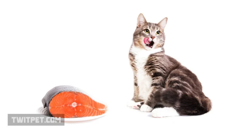 How to Cook White Fish for Cats