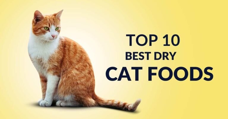 What are the 10 Best Dry Cat Foods