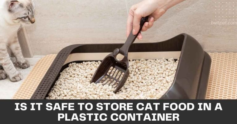 Is it Safe to Store Cat Food in a Plastic Container