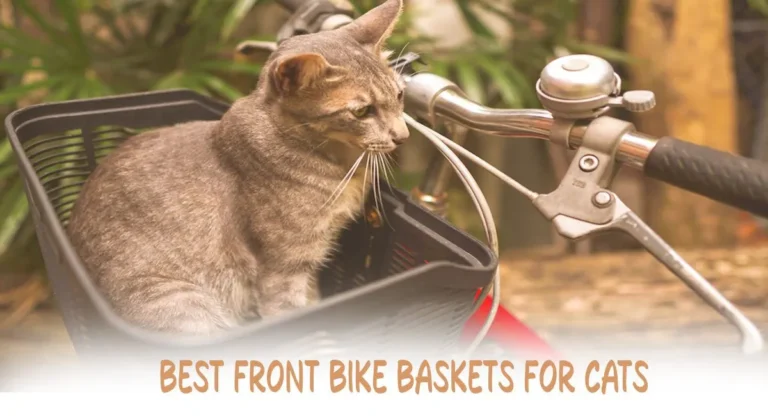 Best Front Bike Baskets for Cats