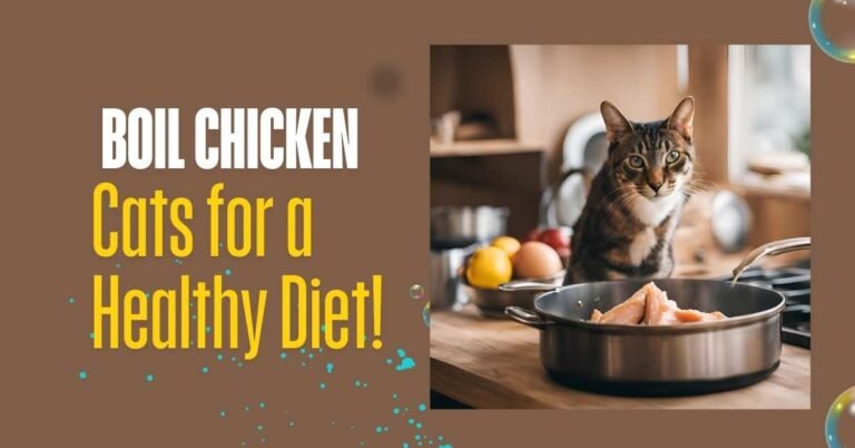 How Long to Boil Chicken for Cats for a Healthy Diet