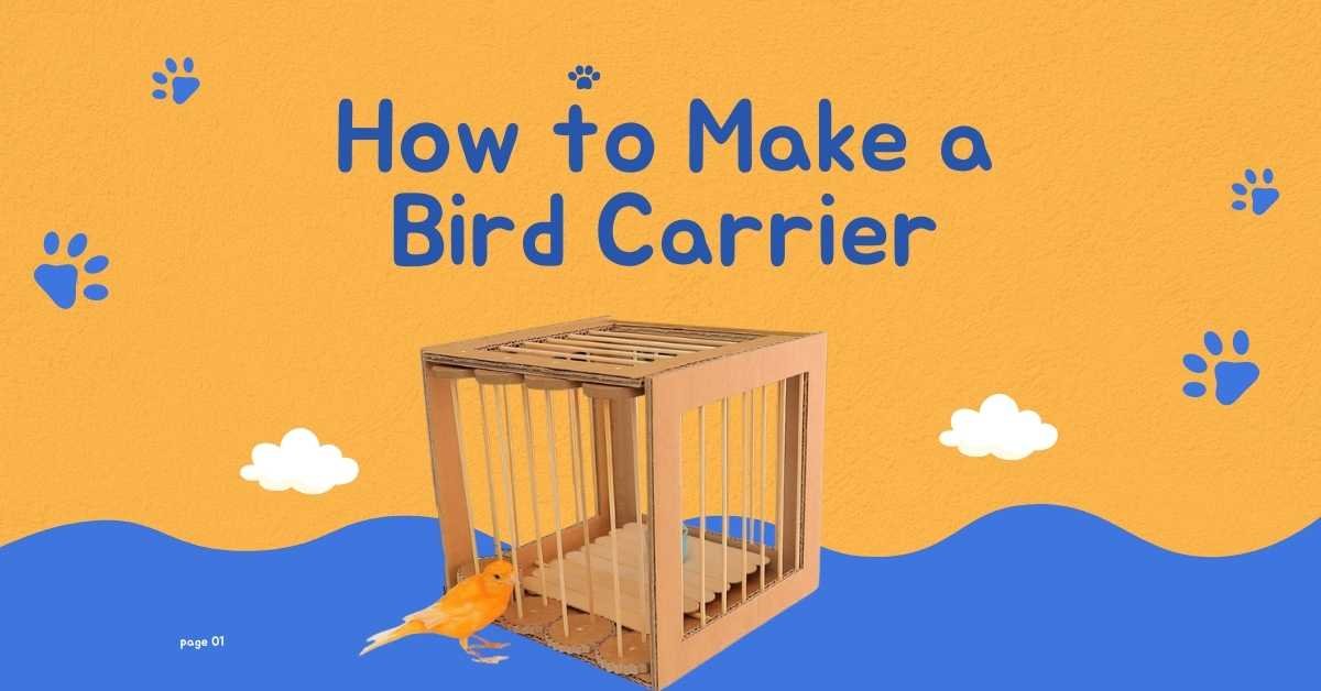 How to Make a Bird Carrier