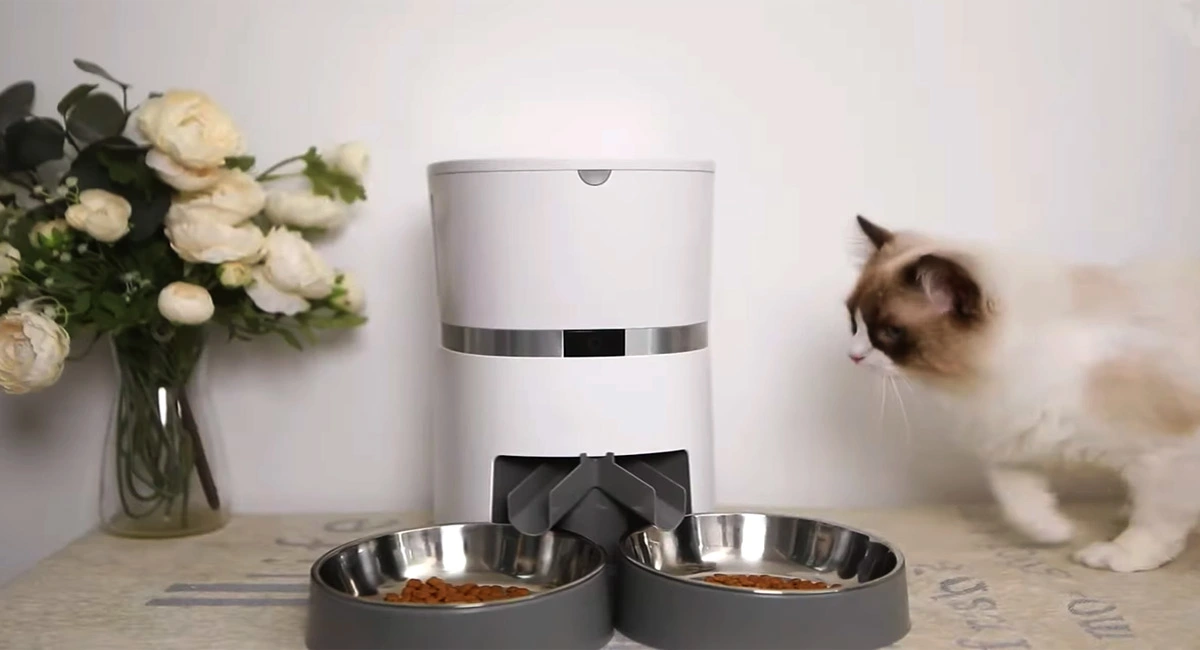 Top 10 Automatic Pet Feeder with Timer