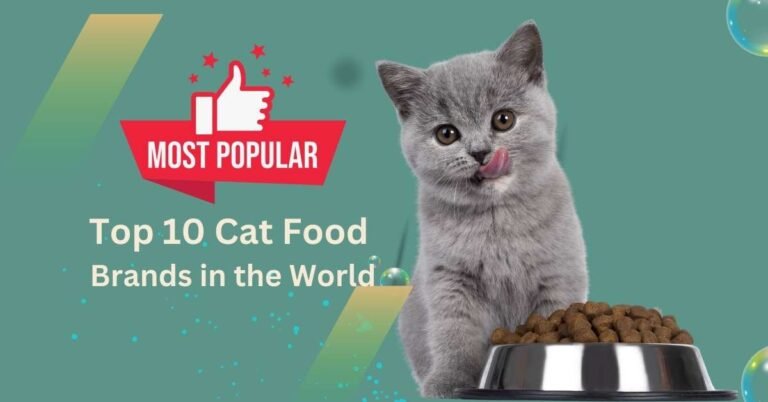 Top 10 Best Popular Cat Food Brands in the World