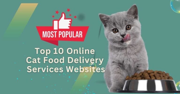 Top 10 Best Popular Online Cat Food Delivery Services Websites